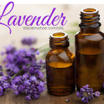 Lavender Essential Oil for Softball